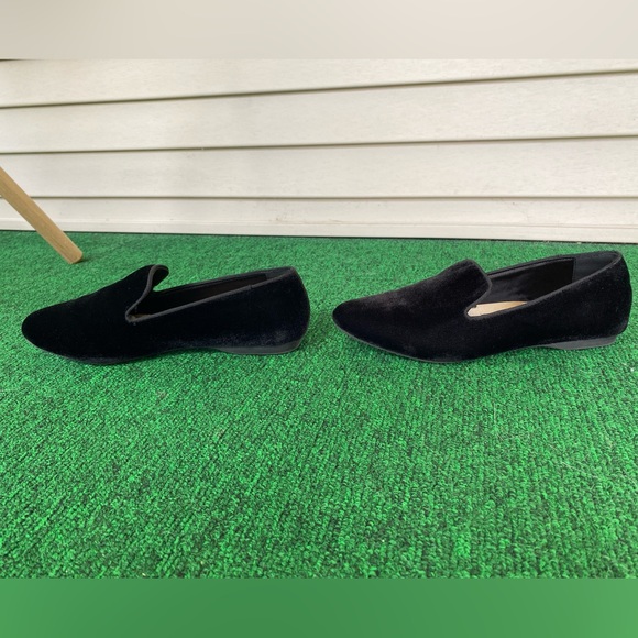 New, Birdies Starling in Black Velvet! - Picture 5 of 9